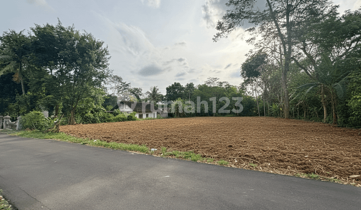 Tanah SHM 200 Meter Smp 2 Kalasan