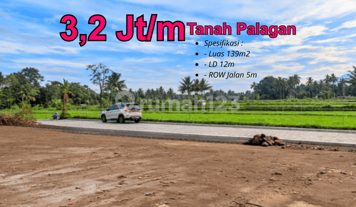 Jarang Ada Tanah Tepi Sawah View Gunug di Palagan