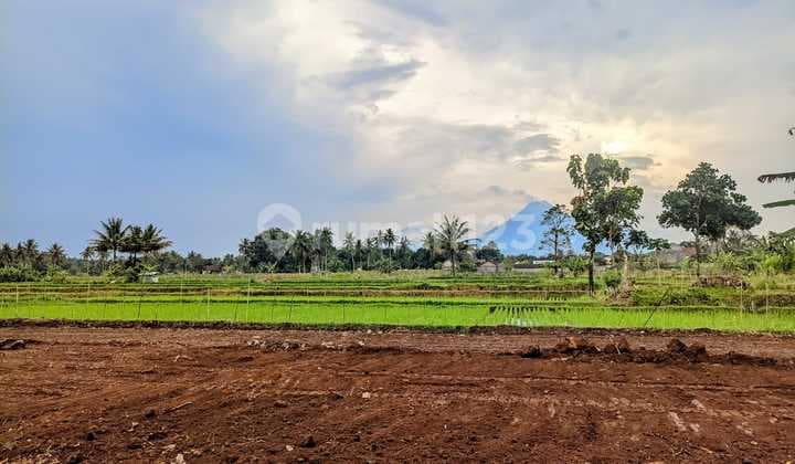 Tanah Kavling Istimewa Palagan Jogja – Alam Tenang & Sejuk