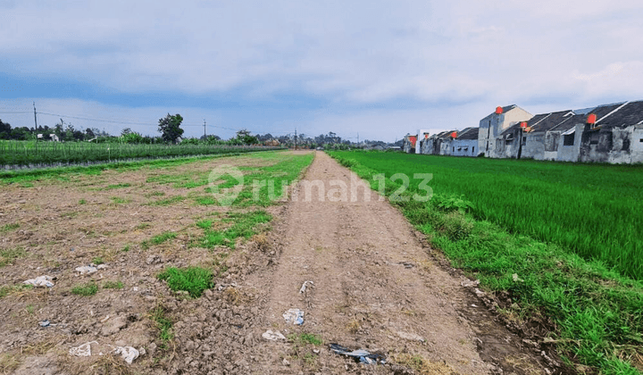 Pingir Sawah Tanah Di Sidoarum Godean, Luas Ideal