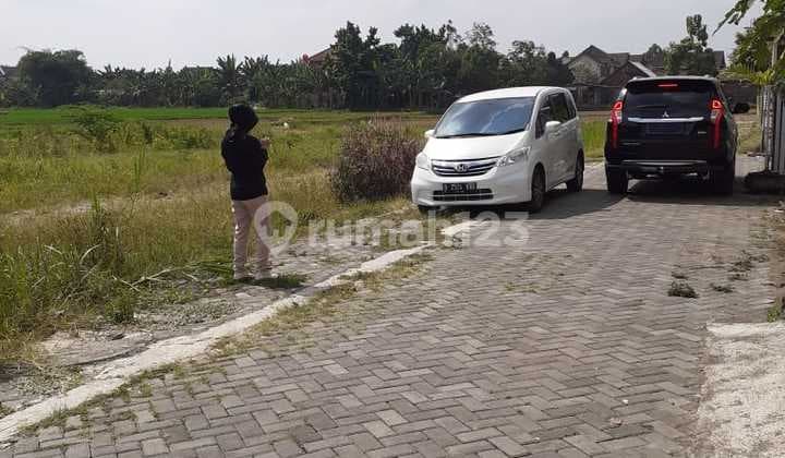 For Sale Quick Land in Jogja City, Rice Field Edge – Ready for Deed Today