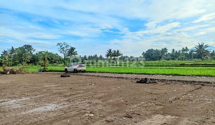 Palagan Tanah Eksklusif – Dikelilingi Sawah dan View Merapi Menawan