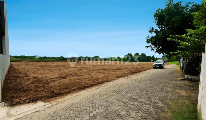 Dalam Kota Jogja, Tanah Pingir Sawah Siap Bangun SHM P