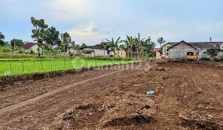 Tanah Luas di Palagan Jogja – Cocok untuk Villa, View Sawah & Gunung