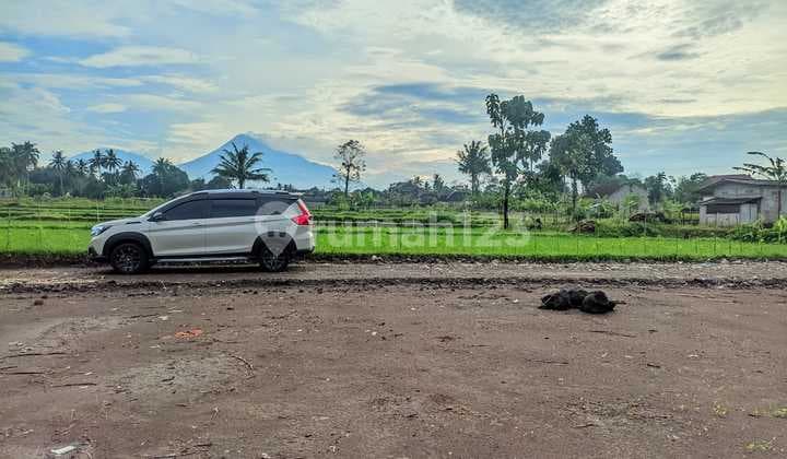 Tanah Pinggir Sawah Palagan, Panorama Gunung Merapi