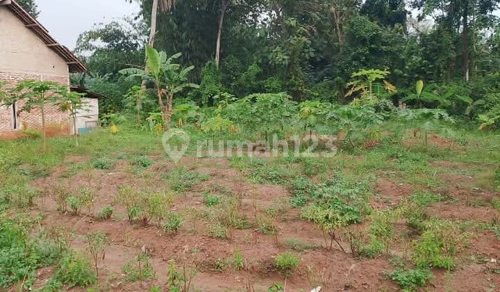 Jual Tanah Komersial Tigaraksa Ajb Murah Luas Strategis Nego