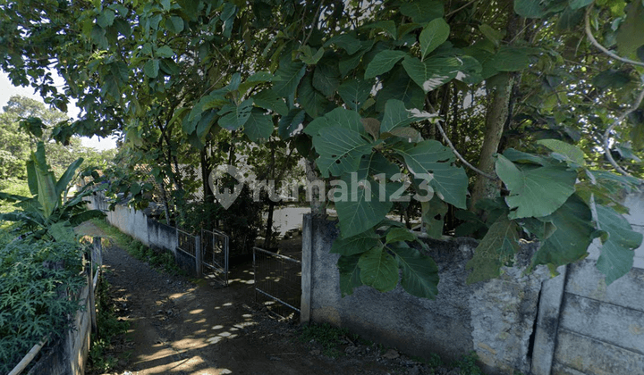 TANAH GUNUNG SINDUR BOGOR, COCOK UNTUK PETERNAKAN