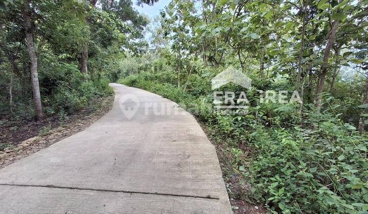 Tanah Jogja Murah Dekat Kopi Puncak Rindu