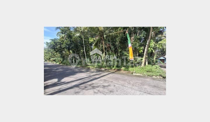 Land for Sale Jogja Cangkringan, near Glagahharjo Village