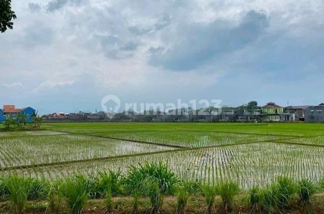 Harga Di Bawah Njop Lokasi Potensial Di Gede Bage Bandung Cocok Untuk Investasi/bisnis