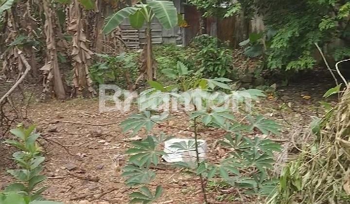 LAND FOR SALE CHEAP IN SIDOMULYO