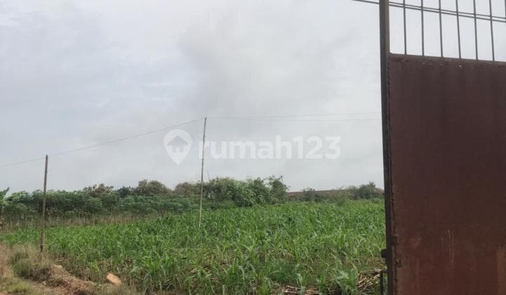 Tanah Industri Luas 5Hektar Dekat Akses Tol Lematang Lampung