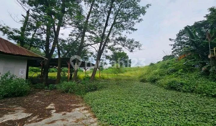 Land Lease of 20,000 M2 or 2 Ha on Jl Alternatif Cibubur Cileungsi Land Lease of 20,000 M2 or 2 Ha on Jl Alternatif Cibubur Cileungsi