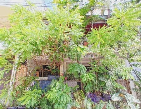 Rumah Murah 2lt di Jl Tawakal 2, Tomang,Grogol Petamburan