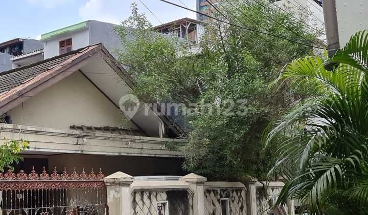 Rumah Tua Murah di Jl Batu Tulis 6,Kebon Kelapa,Gambir,Jakpus