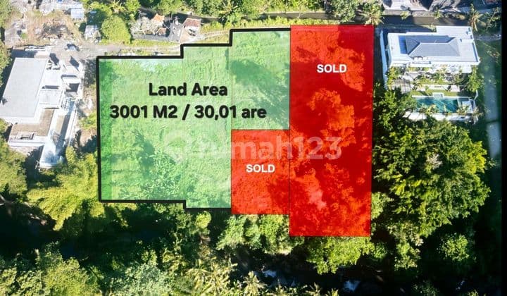 Tanah Pinggir Sungai Disewakan Cocok untuk Bangun Villa Terletak di Sekitar Jalan Raya Munggu, Kapal, Kediri, Tabanan