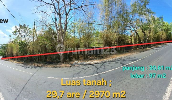 Tanah Disewakan Dekat Pantai Padang Padang dan Pantai Bingin Terletak di Pinggir Jalan Utama Labuan Sait, Pecatu, Uluwatu, Kuta Selatan