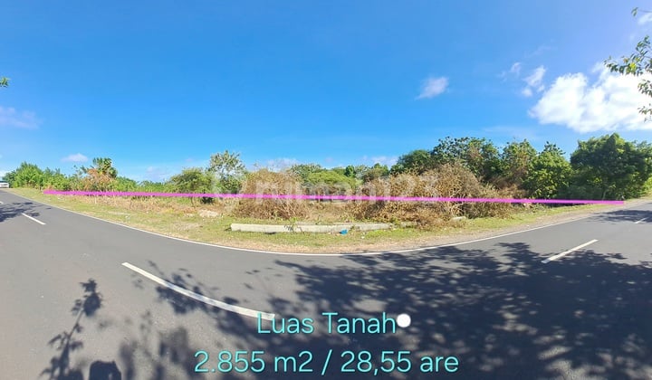 Tanah Dijual Zona Pink Terletak Pinggir Jalan Raya Nusa Dua Selatan, Nusa Dua, Benoa, Kuta Selatan