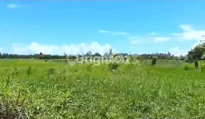 Beachfront Land For Sale Located In Delod Berawah Jembrana Suitable For Building Resorts, Cottages And Restaurants