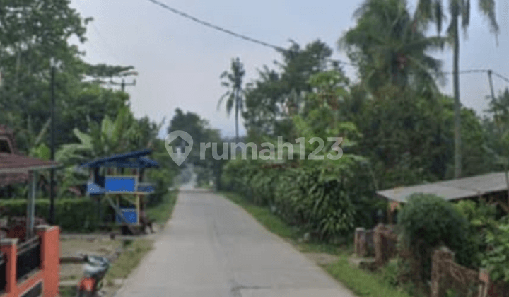 Terjemahkan ke bahasa Inggris: