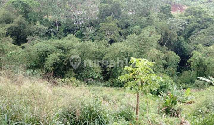 Land for Sale in Bogor