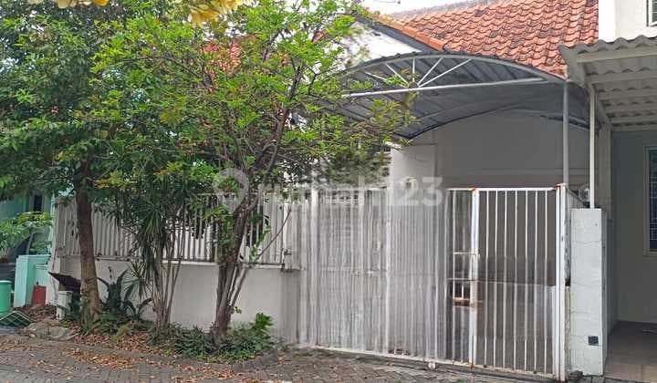 For Rent: Taman Puspa Raya Citraland House, 120m², 4 Bedrooms, Near Pakuwon Mall and Ciputra University.