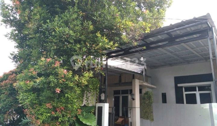 Rumah Cantik Harga Bisa Nego Siap Huni Di Perumahan Grand Nusa Indah Cibubur Bogor
