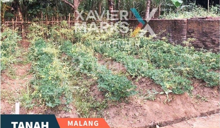 Tanah Kavling Murah Siap Bangun di Tlogowaru Malang