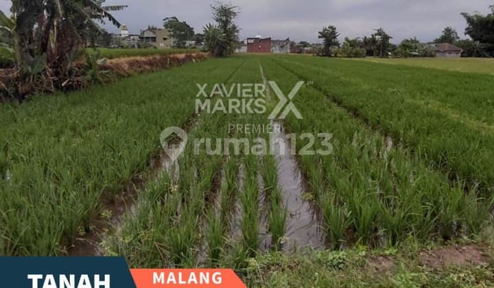 Super Easy Access Land Plot in Tasikmadu Malang