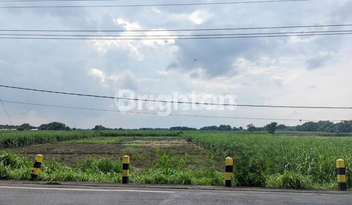 INDUSTRIAL/RESIDENTIAL LAND IN MOJOKERTO INDUSTRIAL/RESIDENTIAL LAND IN MOJOKERTO