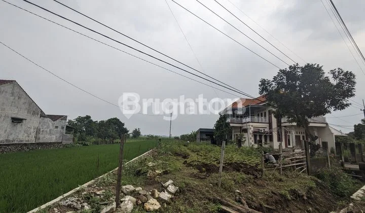 LAND OF KIMIA FARMA JOMBANG LAND OF KIMIA FARMA JOMBANG