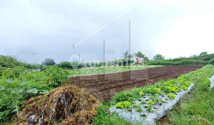 TURUN HARGA LAGI! MURAH DIBAWAH HARGA PASAR TANAH di KAWASAN SEJUK SAYAP SETIABUDI REGENCY