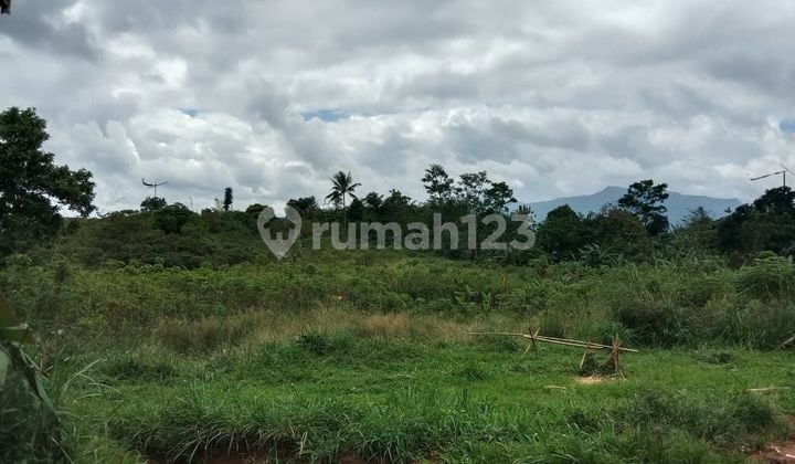 Dijual Lahan 17 Hektar Pinggir Jalan Kabupaten Cigudeg - Leuwisadeng | Cocok Perumahan & Perkebunan