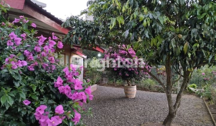 RUMAH NYAMAN UNTUK MASA TUA DI KOPENG