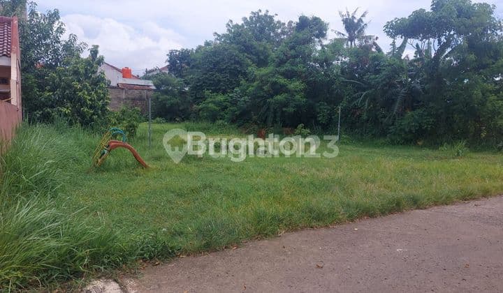 TANAH BARU DEPOK BEJI