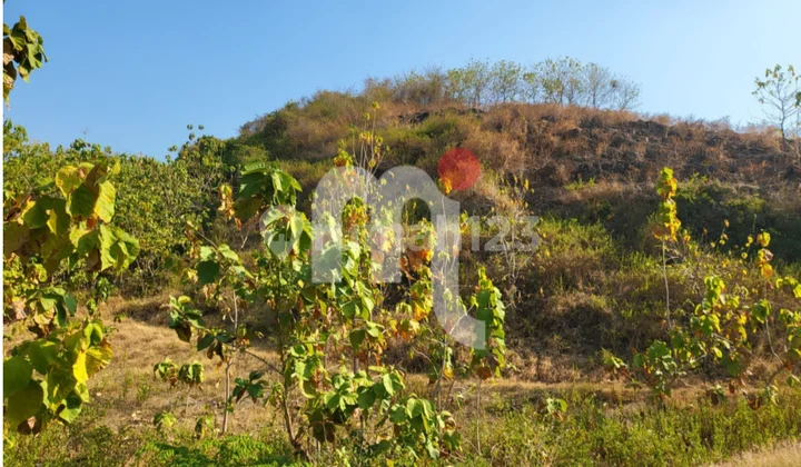 LAND FOR SALE IN WONOSOCO AREA, KUDUS LAND FOR SALE IN WONOSOCO AREA, KUDUS