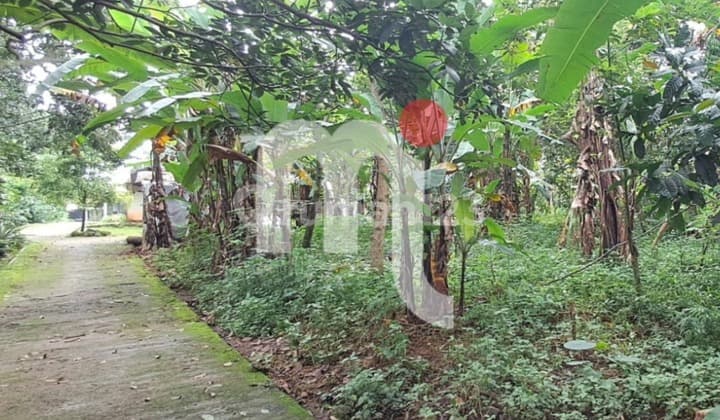 Land Plot for Sale in Limbangan