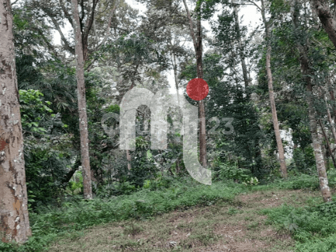 Dijual Tanah di Gunungpati