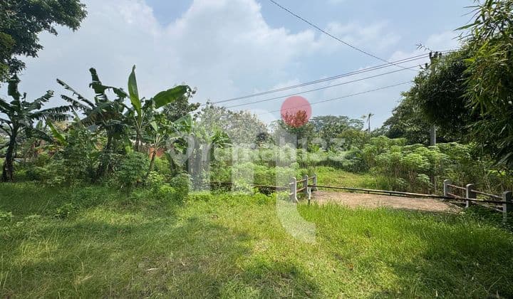 Dijual Tanah di Gunung Pati Semarang