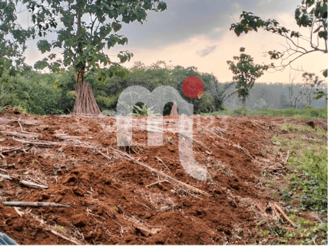 DIJUAL TANAH LUAS DI DAERAH WONOLOPO, MIJEN, SEMARANG