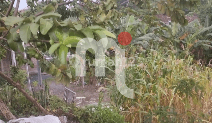 Land Plot for Sale in Kaliwungu