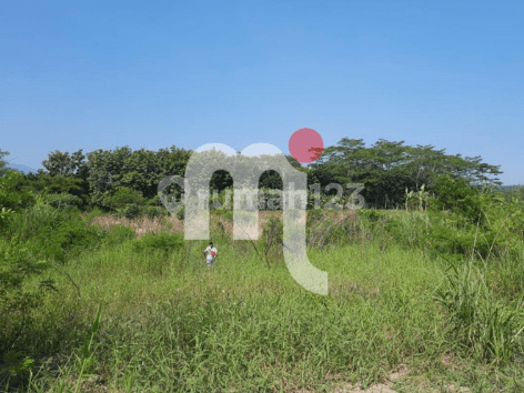 DIJUAL TANAH LUAS 25 HA, DI GUNUNG PATI, SEMARANG