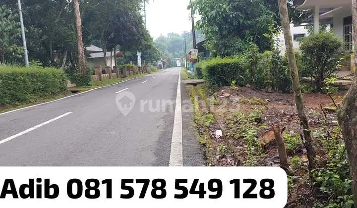 Selling Freehold Land Very Close to Borobudur Temple