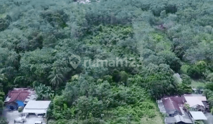 Dijual Tanah Kalimantan Selatan Dekat ke Banjarbaru