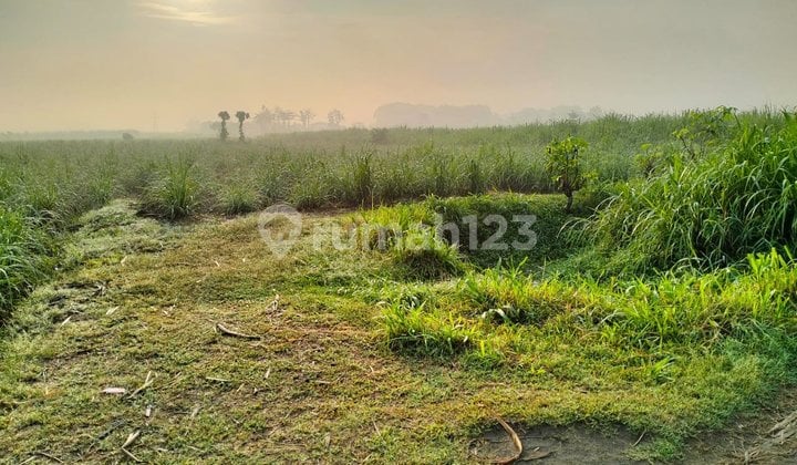 Dijual Tanah Luas Strategis di Sumber Gempol Tulungagung