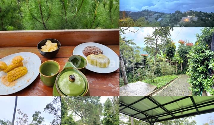Land 1 Ha Mainroad Dago Lembang Below Market Price