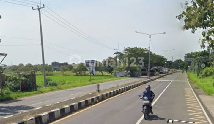 Tanah 8.000 M2 SHM Mainroad Pantura Cirebon