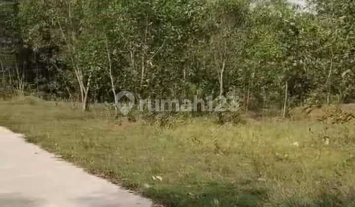 Dijual tanah kosong ditigaraksa 7,3 ha dekat stasiun tigaraksa