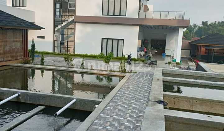 Rumah Semi Villa Luas & Asri di Pasirjambu, Ciwidey