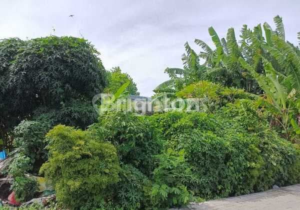 Tanah 150M² Area Padat Batubulan